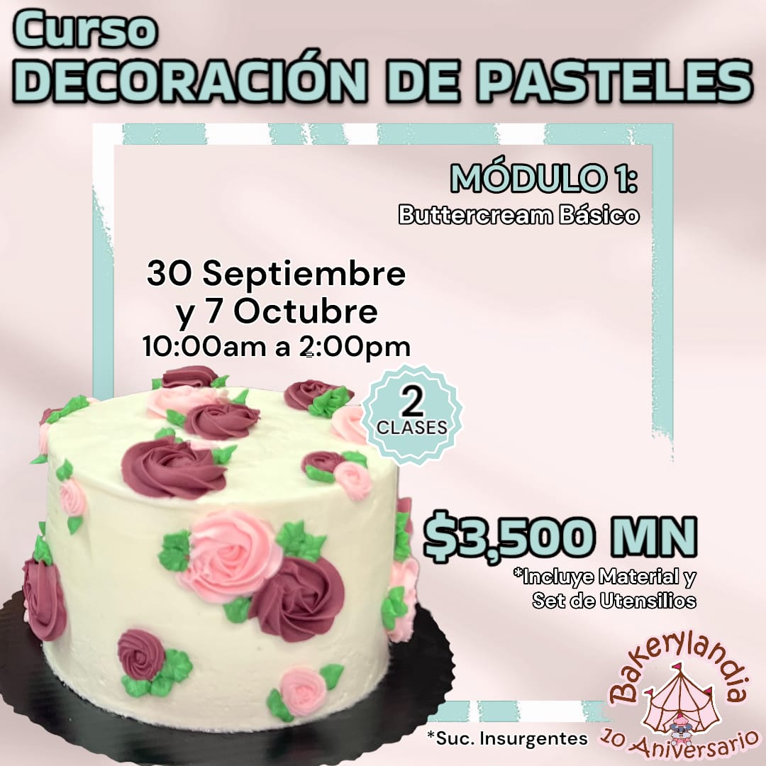 Ejemplo de Imagen Aqui