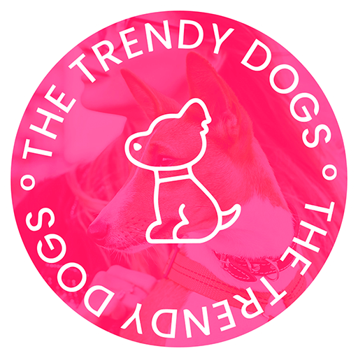 thetrendydogs