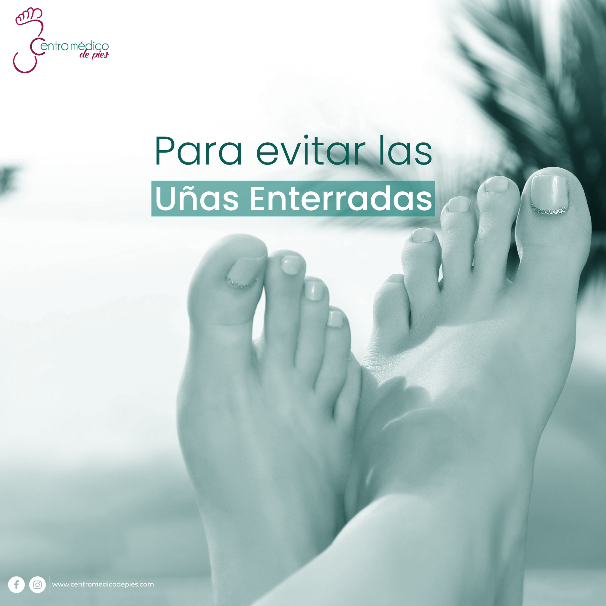 Ejemplo de Imagen informativa