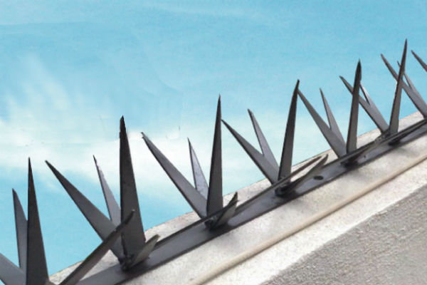 Ejemplo de Imagen informativa 5