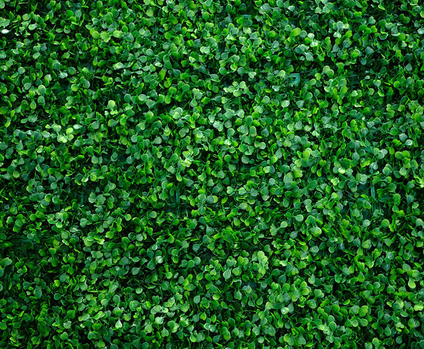 Ejemplo de Imagen informativa 8