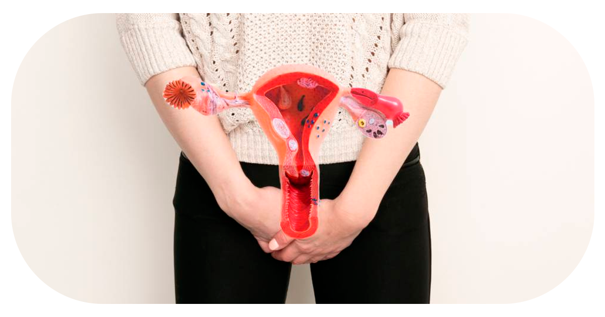 Ejemplo de Imagen Aqui