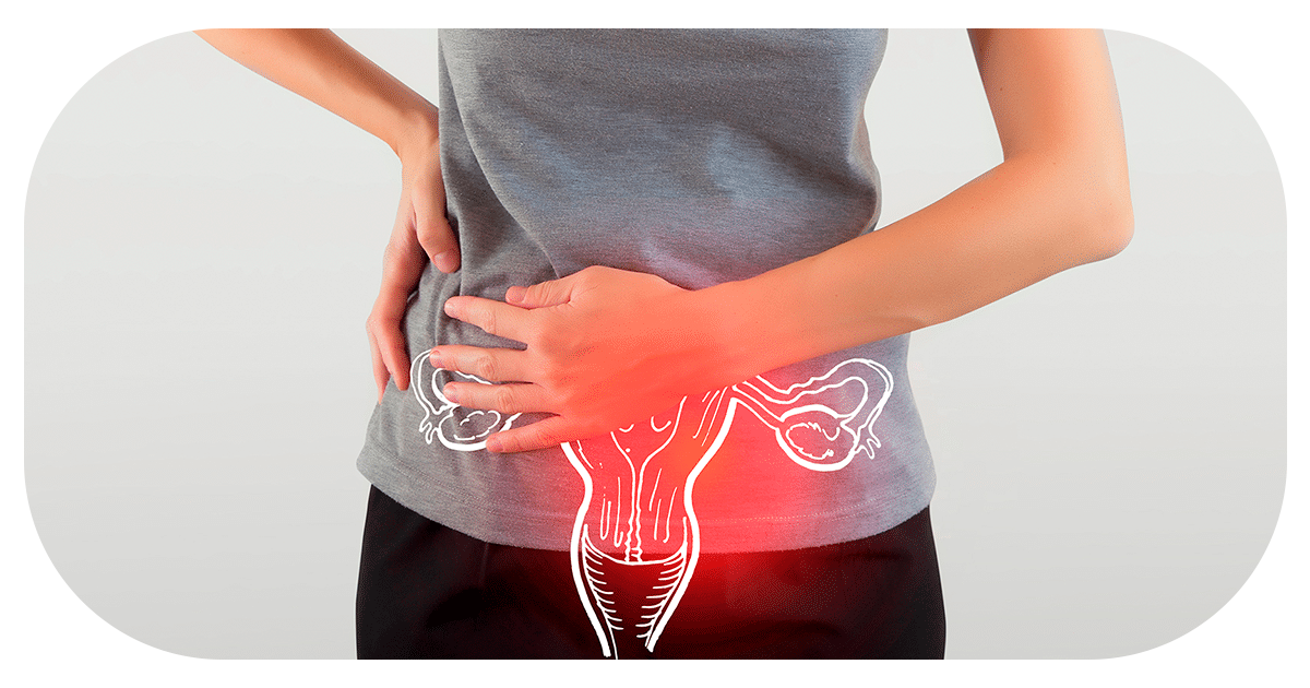 Ejemplo de Imagen Aqui