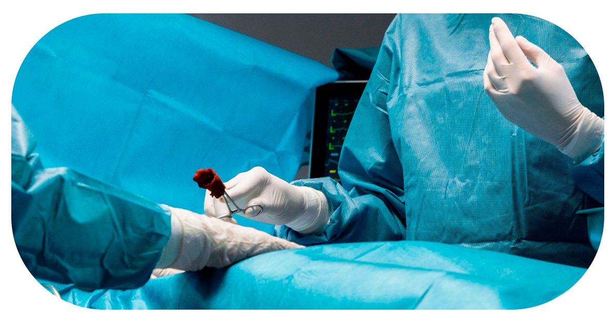 Ejemplo de Imagen Aqui