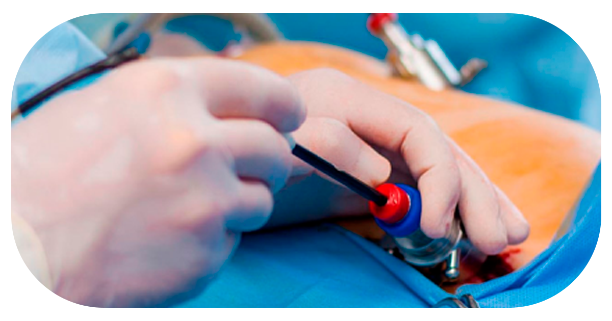 Ejemplo de Imagen Aqui