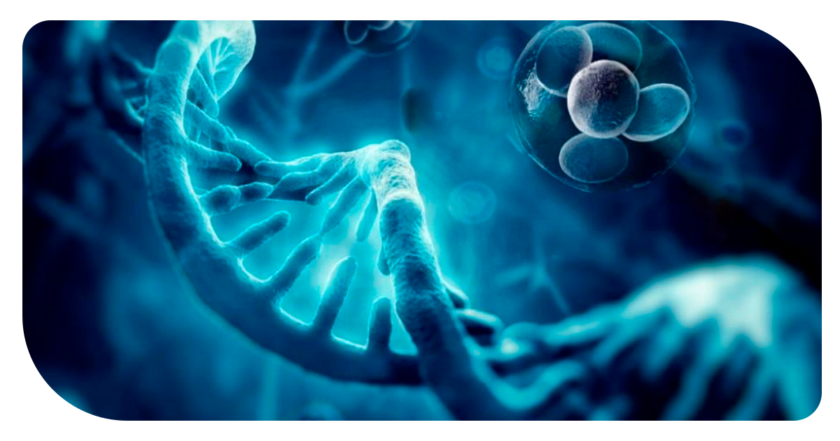 Ejemplo de Imagen informativa 3