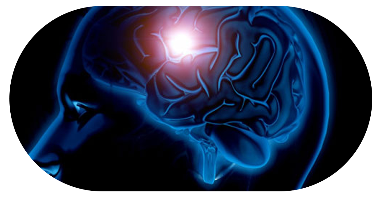 Ejemplo de Imagen Aqui