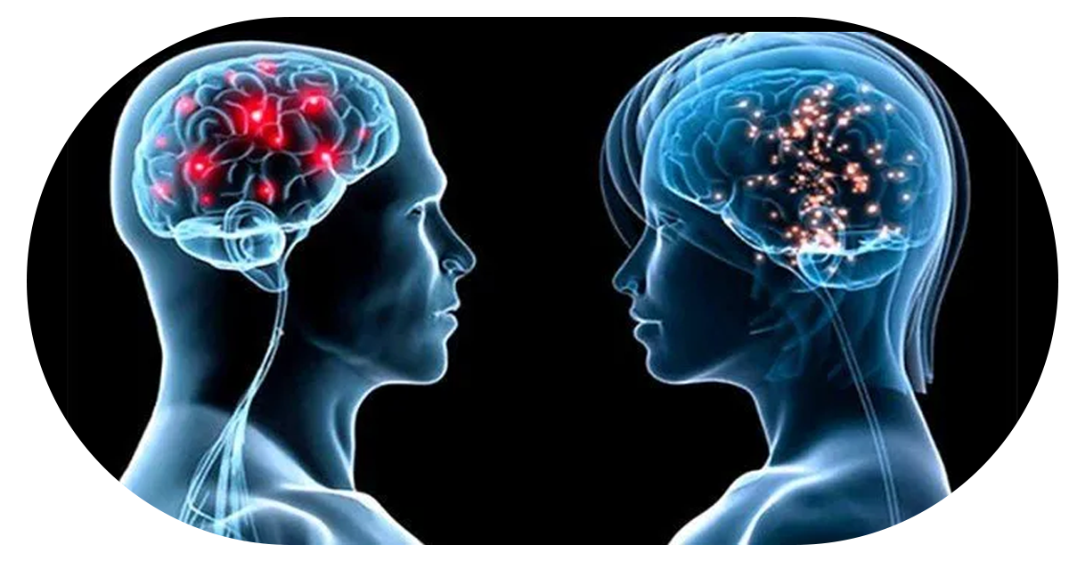 Ejemplo de Imagen Aqui