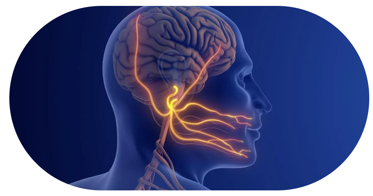 Ejemplo de Imagen Aqui