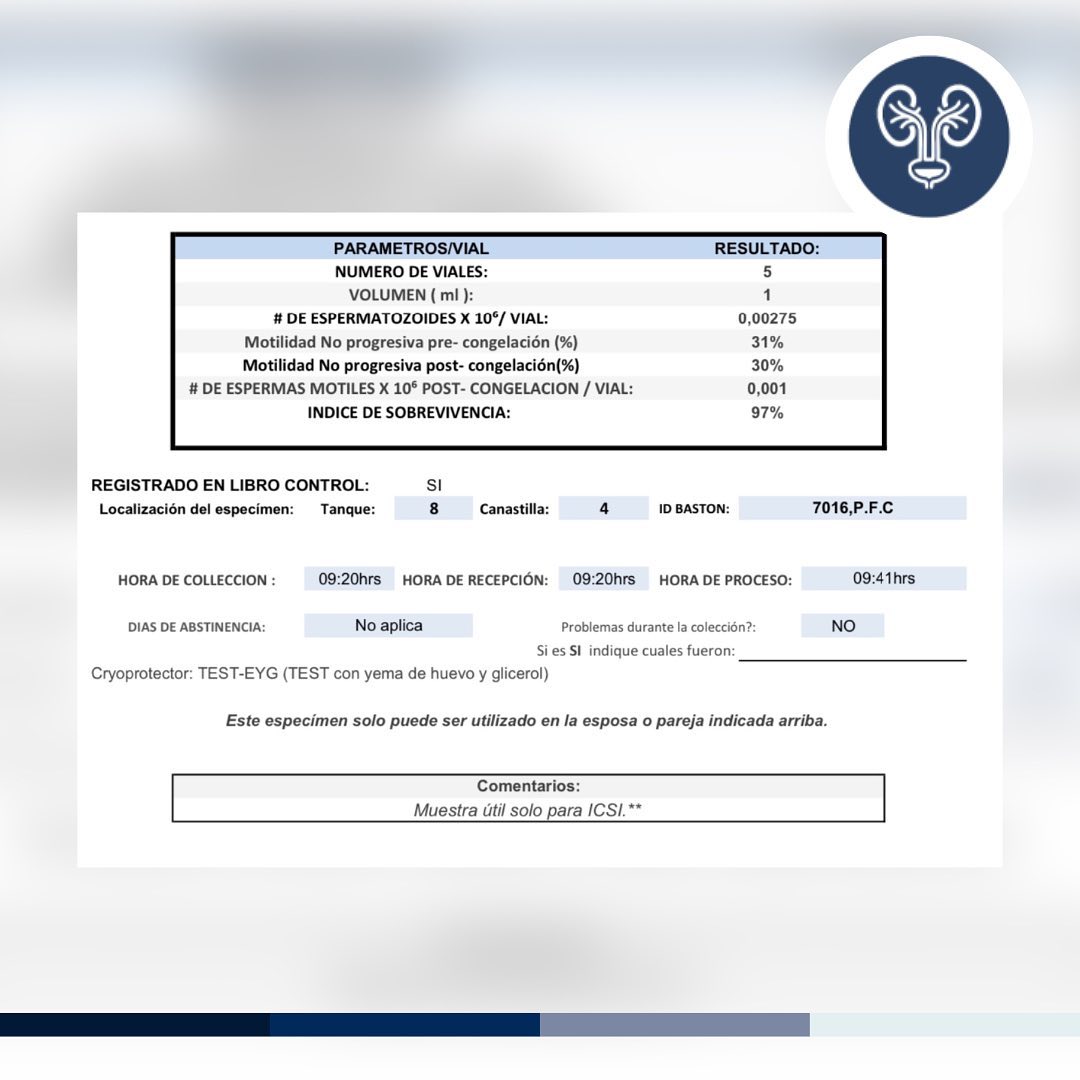 Ejemplo de Imagen Aqui