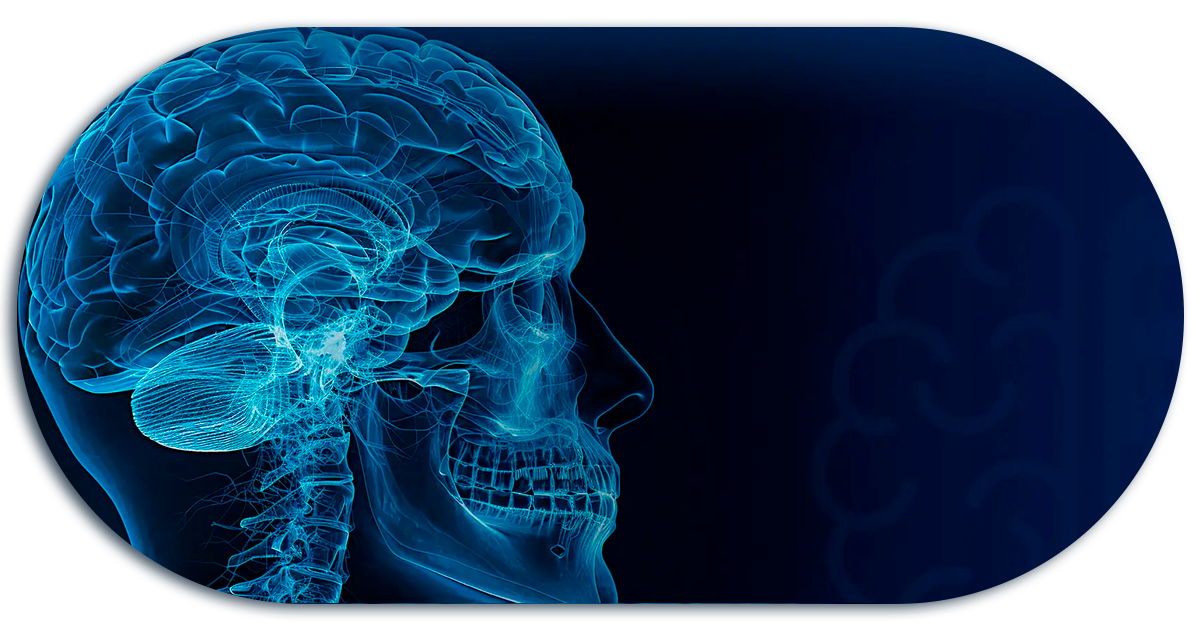 Ejemplo de Imagen informativa 4