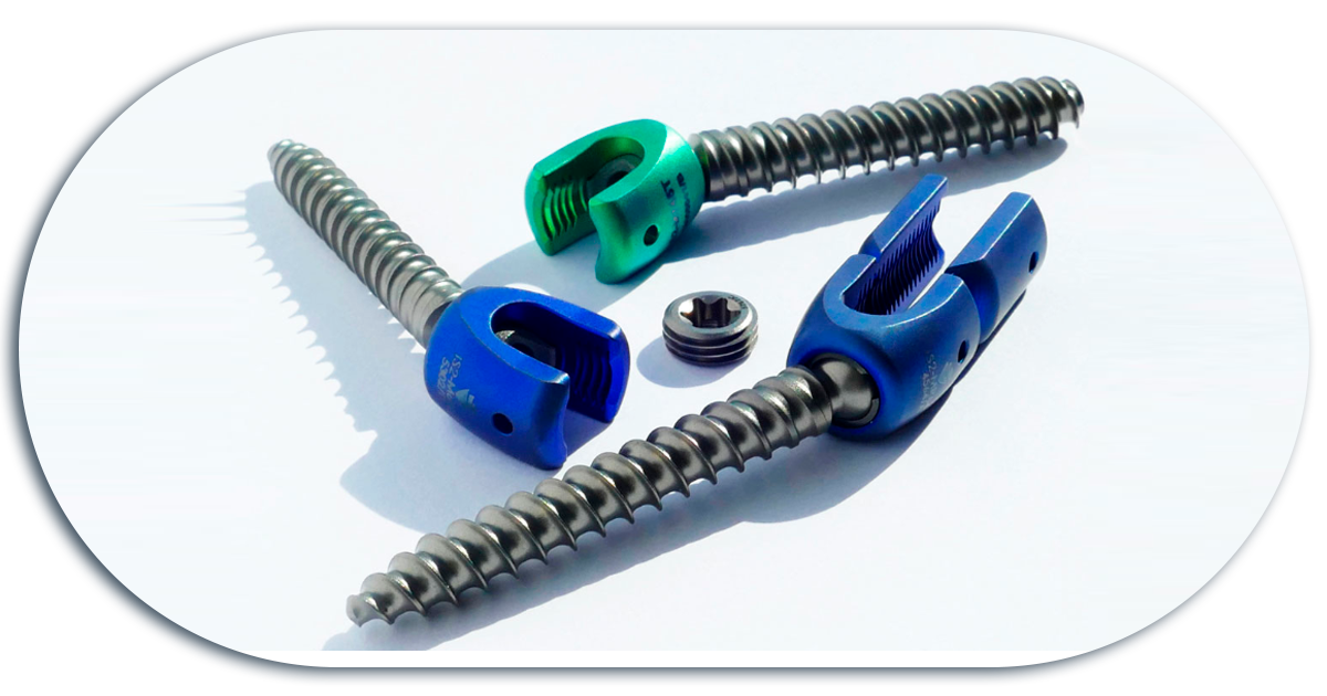 Ejemplo de Imagen informativa 6