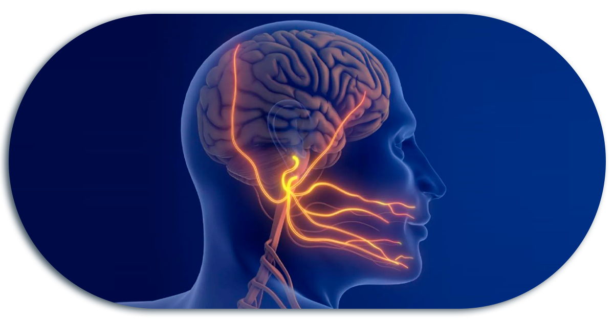 Ejemplo de Imagen informativa 5