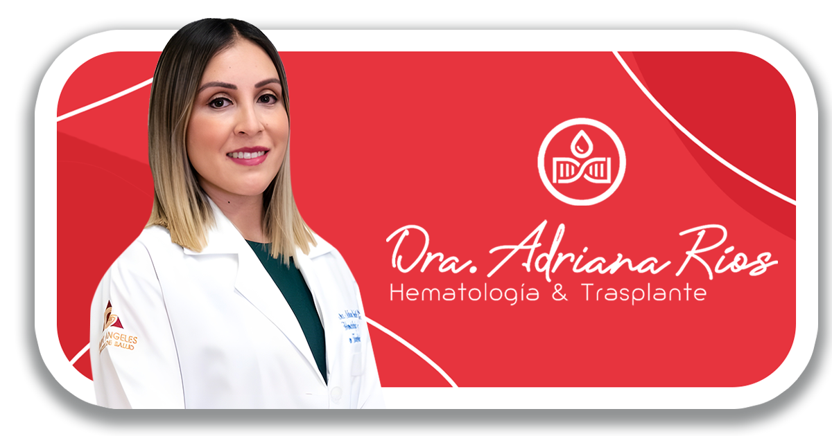 Ejemplo de Imagen Aqui