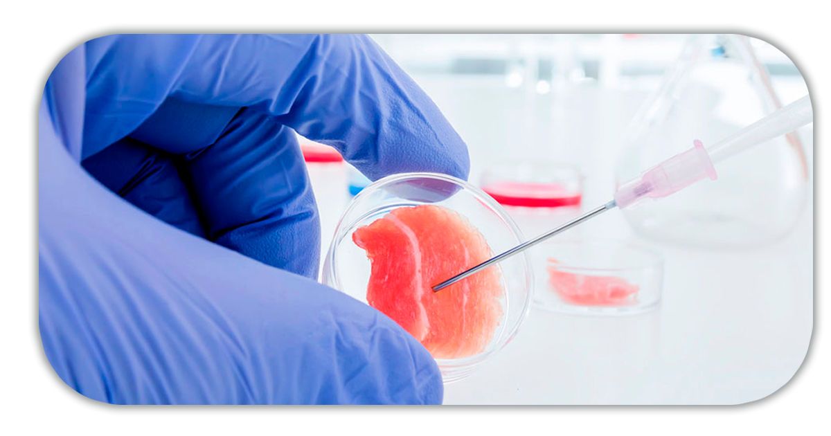 Ejemplo de Imagen informativa 2