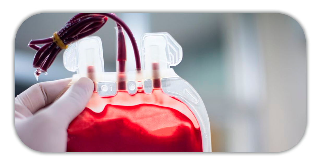 Ejemplo de Imagen informativa 3