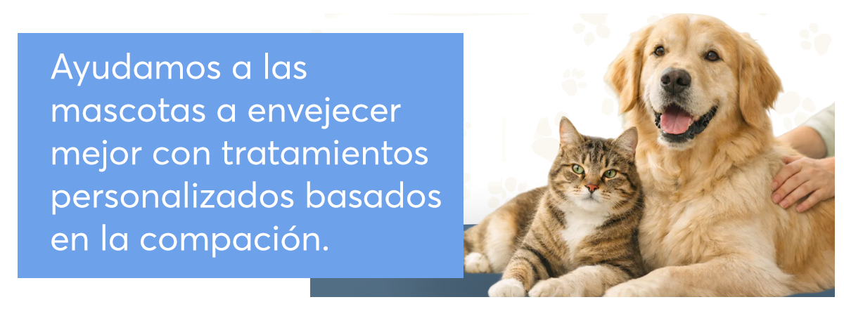 Ejemplo de Imagen informativa 2