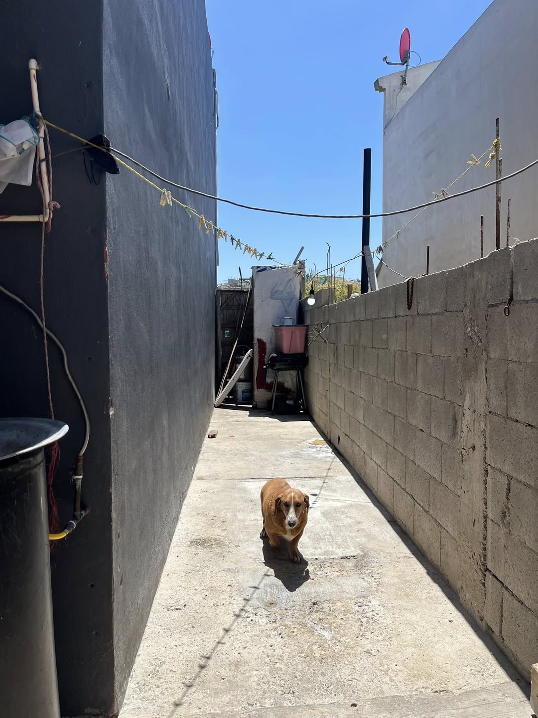 Ejemplo de Imagen informativa