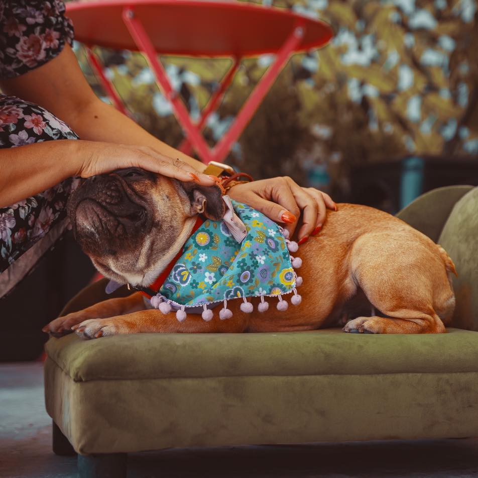 Ejemplo de Imagen informativa