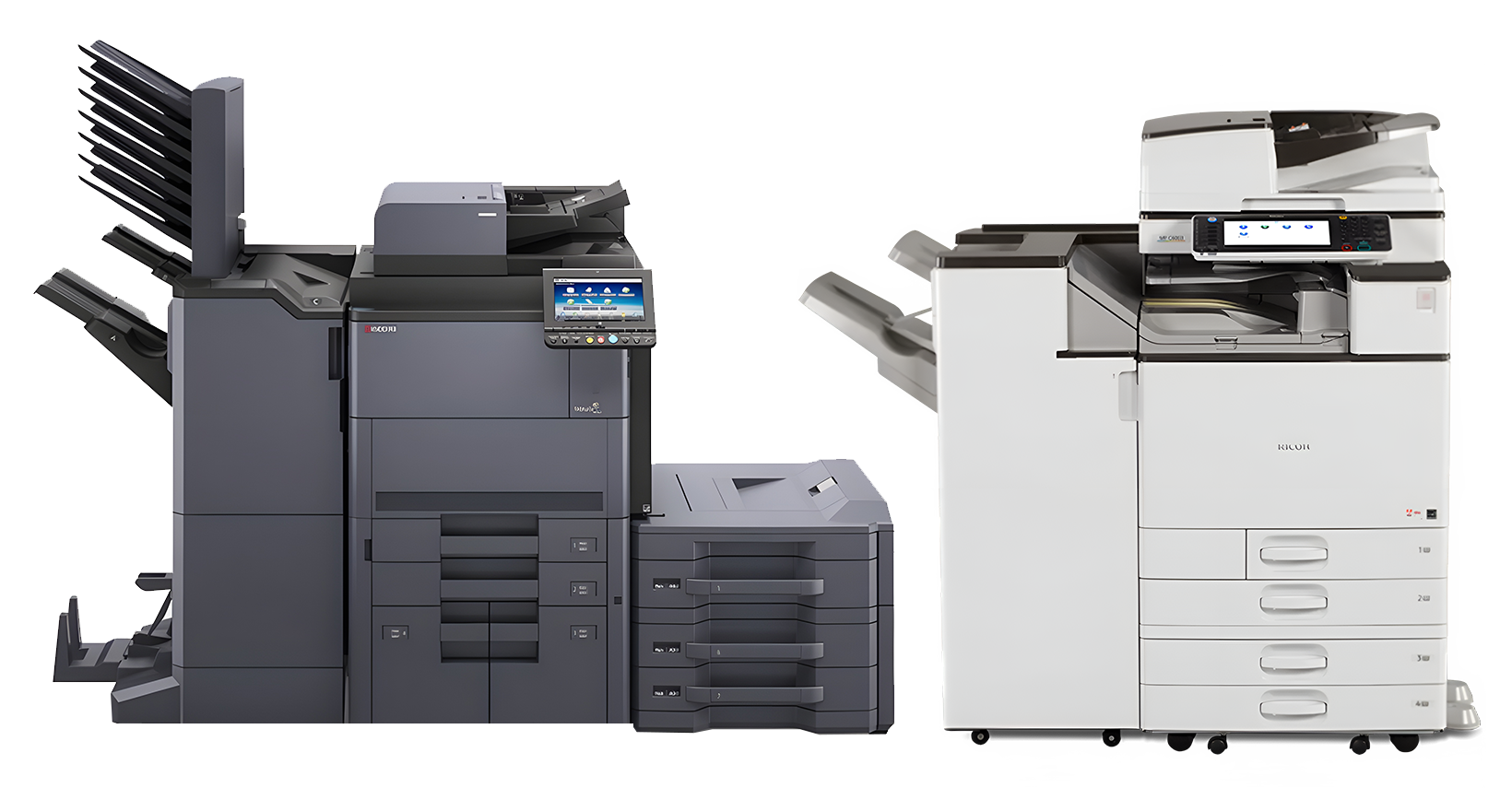 Ejemplo de Imagen informativa 3