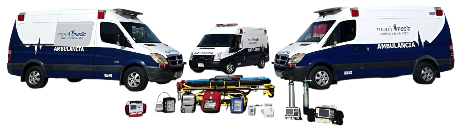 Ejemplo de Imagen Aqui