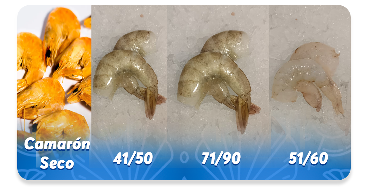 Ejemplo de Imagen informativa