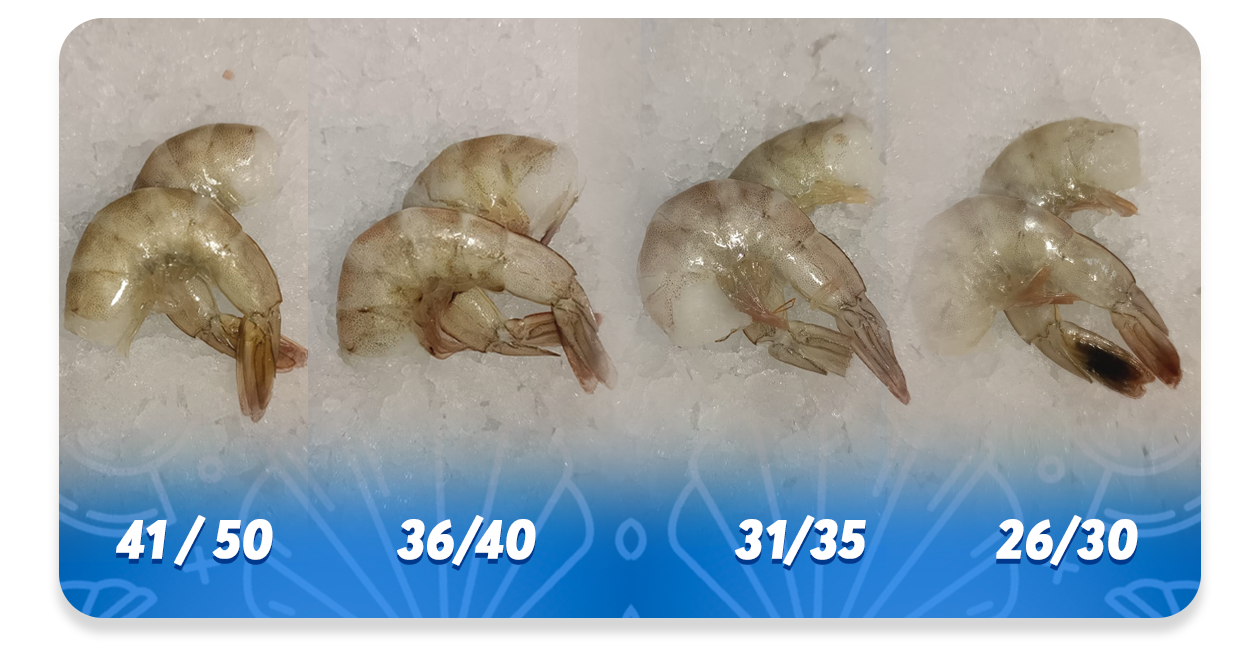 Ejemplo de Imagen informativa