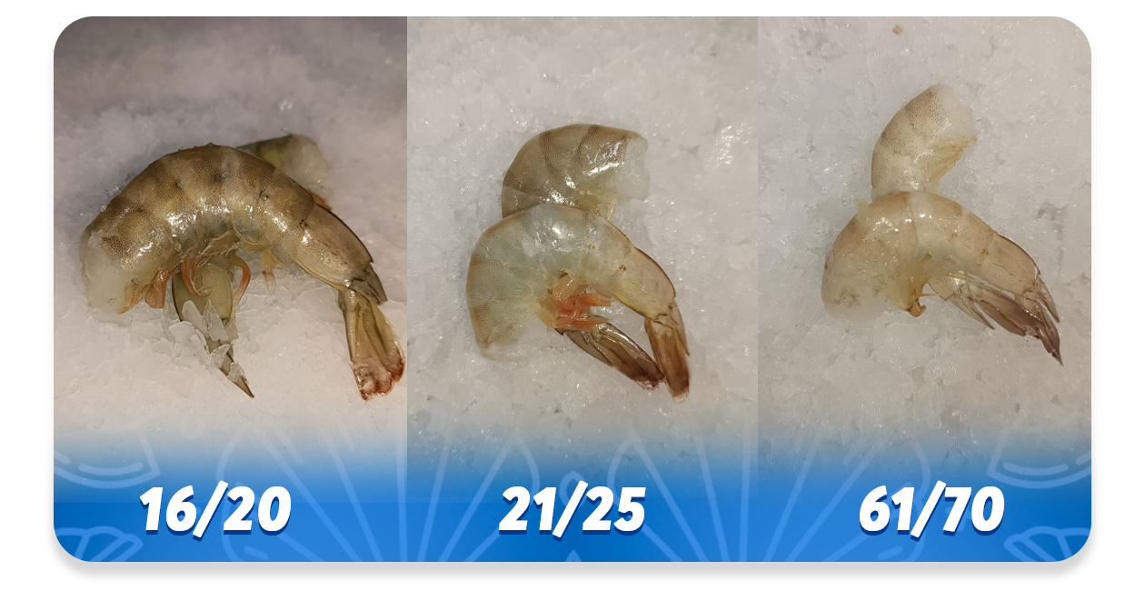 Ejemplo de Imagen informativa