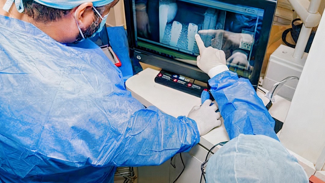 Ejemplo de Imagen Aqui