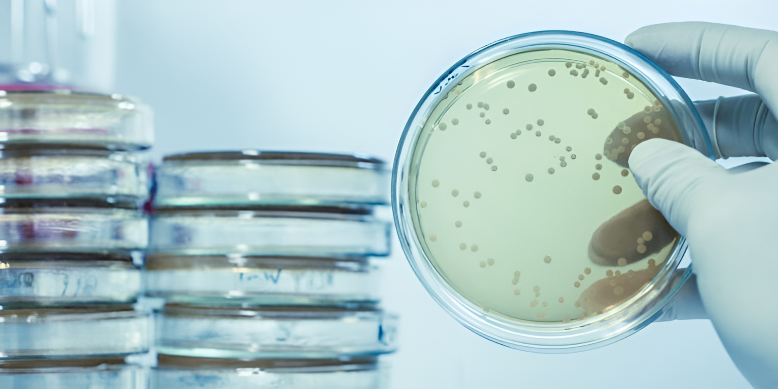 Ejemplo de Imagen informativa 3