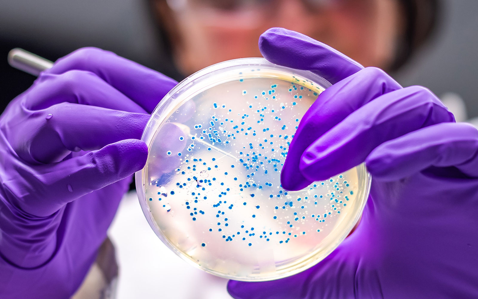 Ejemplo de Imagen informativa 4