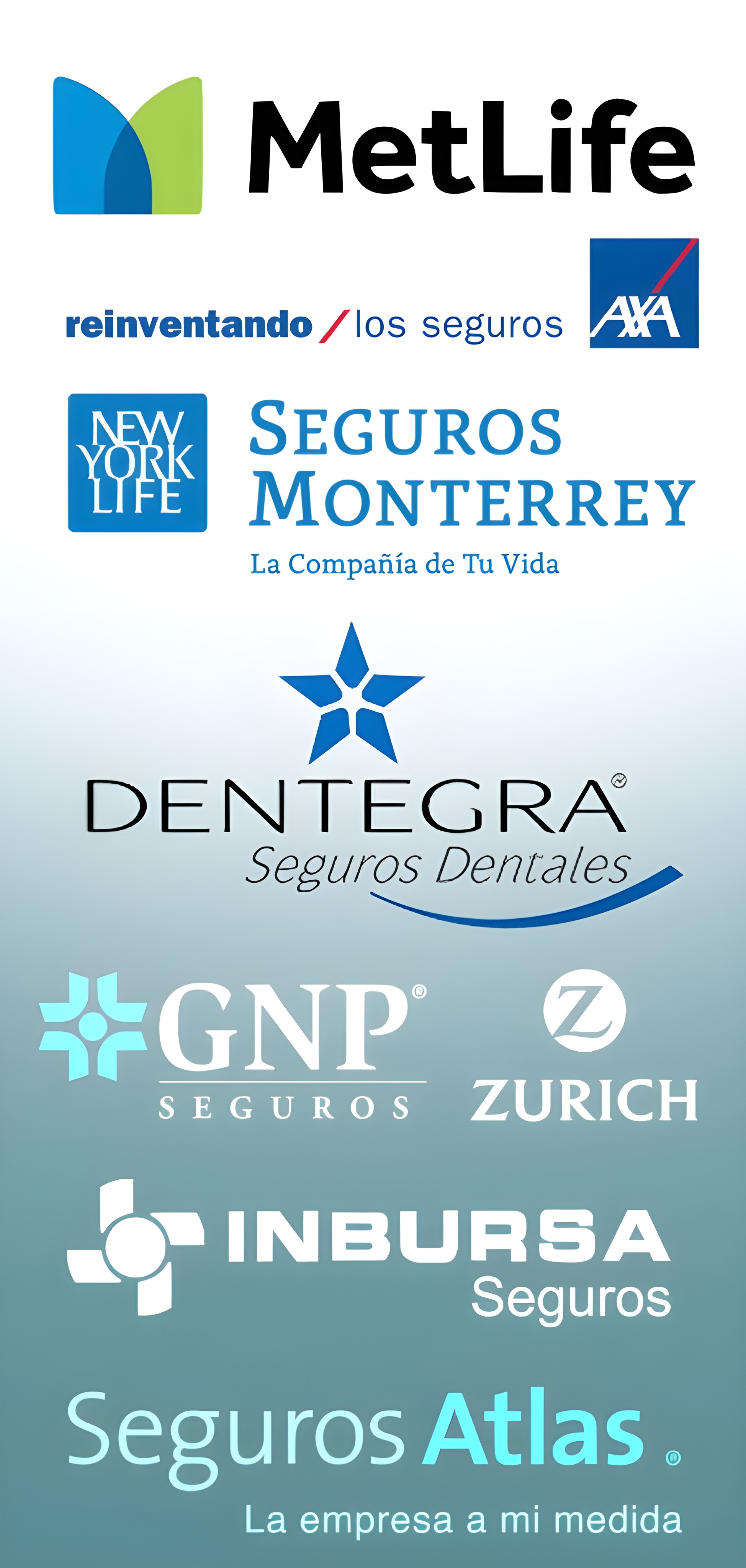 Ejemplo de Imagen Aqui