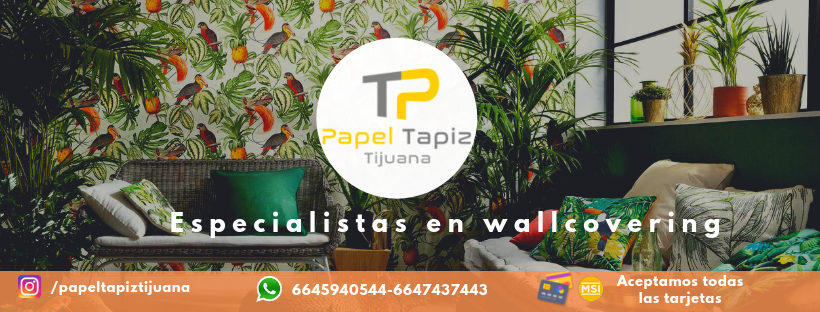 Ejemplo de Imagen Aqui