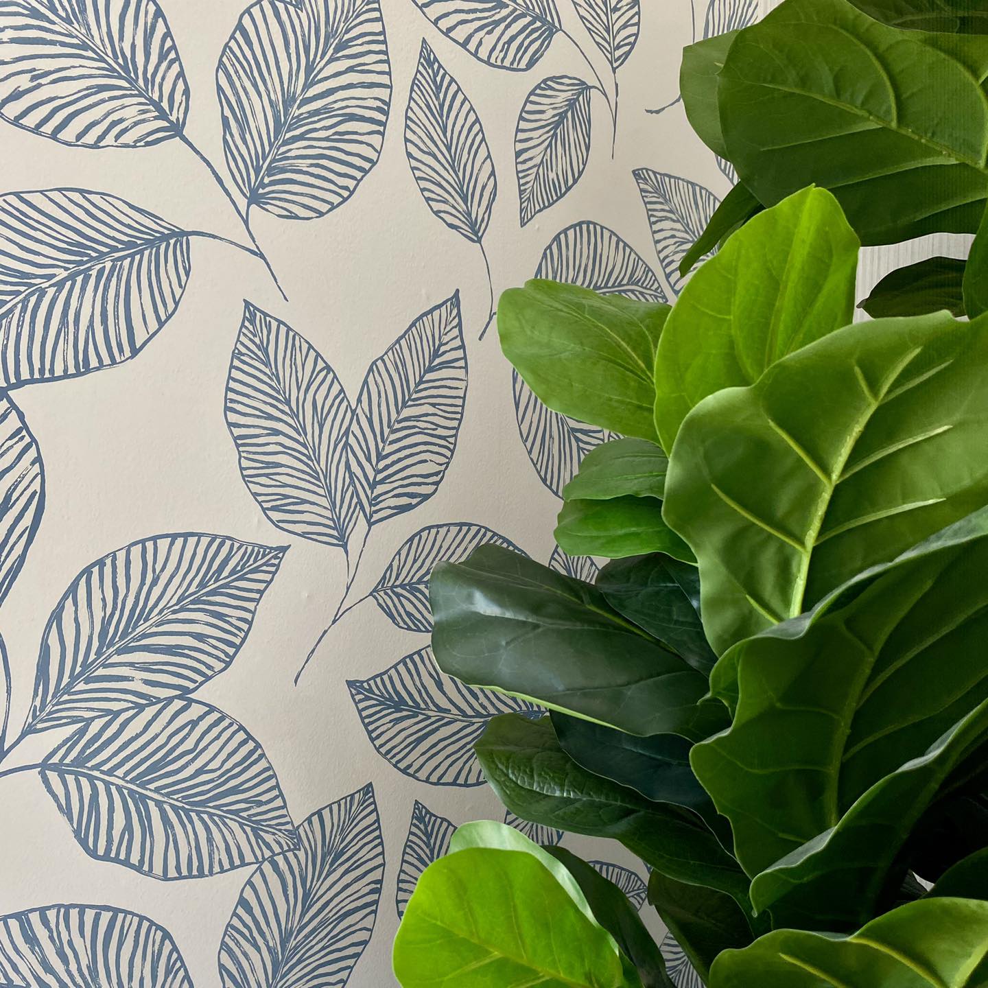 Ejemplo de Imagen Aqui