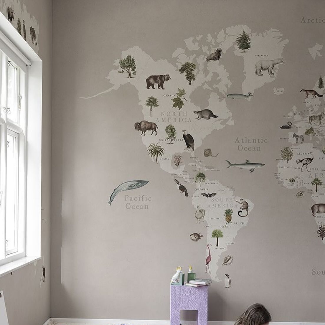 Ejemplo de Imagen informativa 2