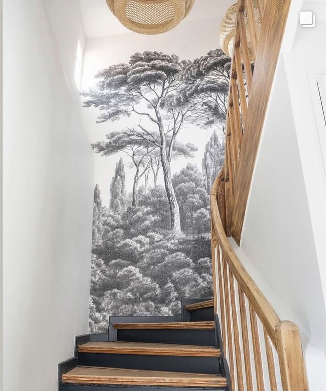 Ejemplo de Imagen Aqui