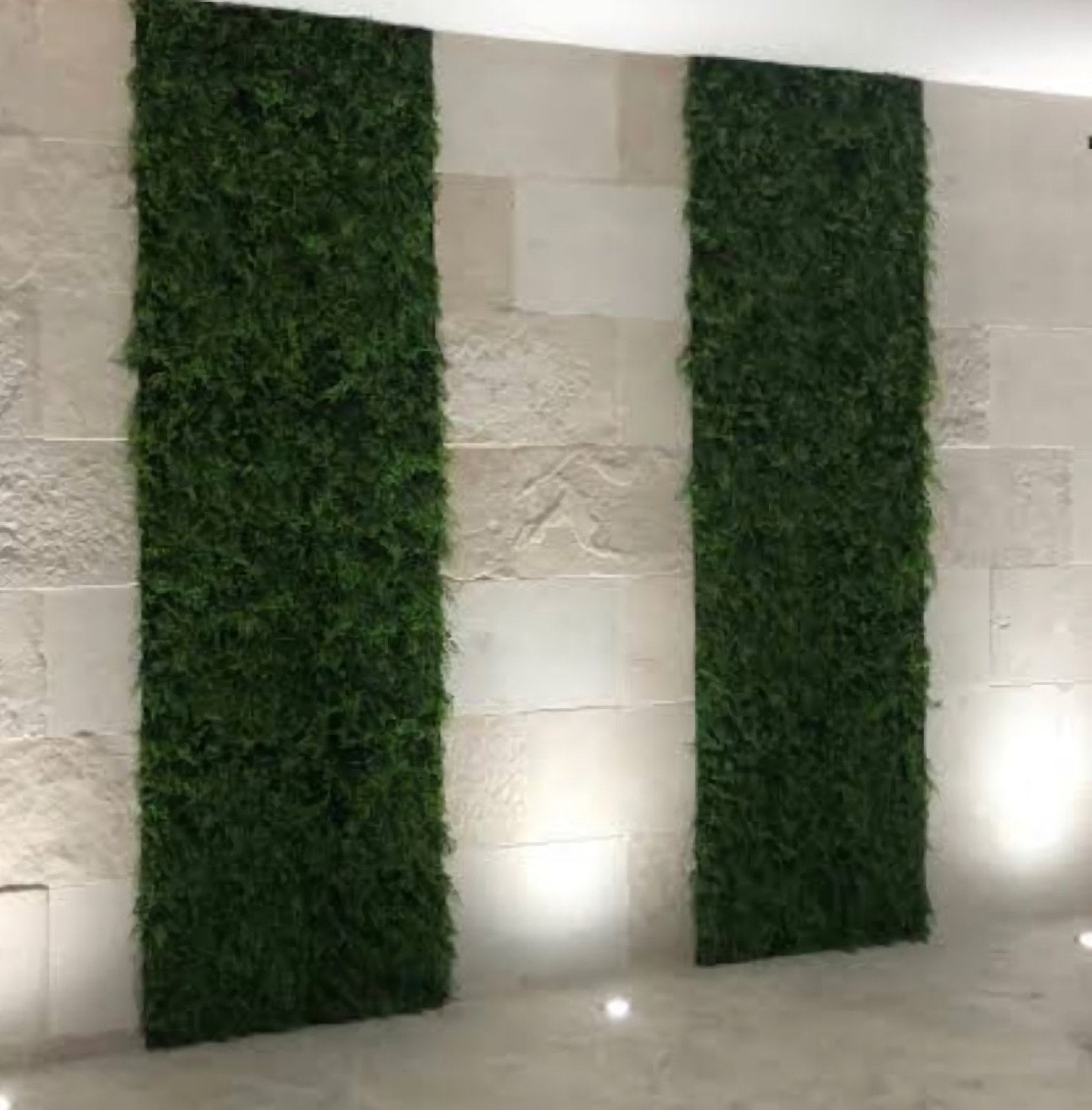 Ejemplo de Imagen Aqui