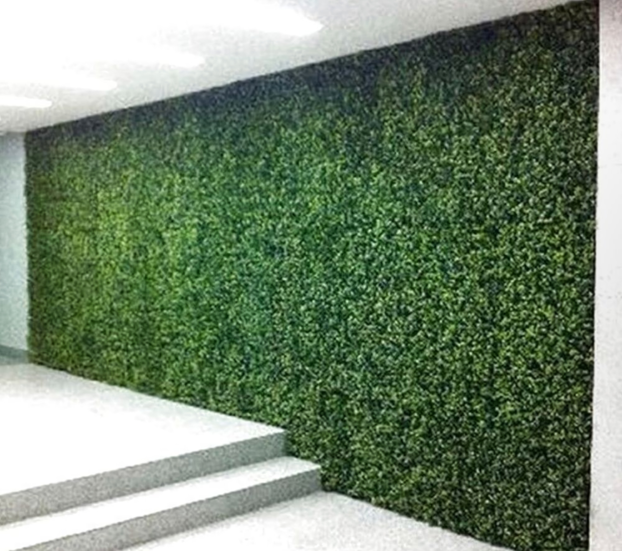 Ejemplo de Imagen Aqui