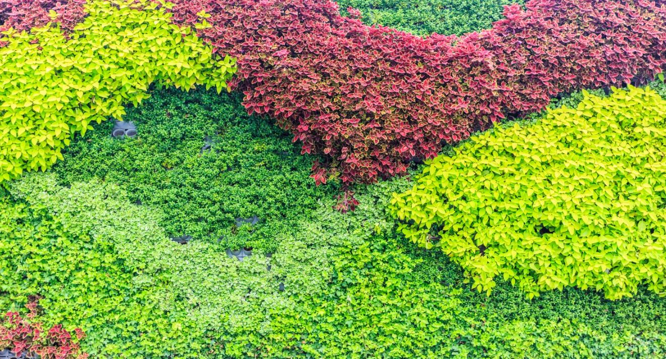 Ejemplo de Imagen informativa