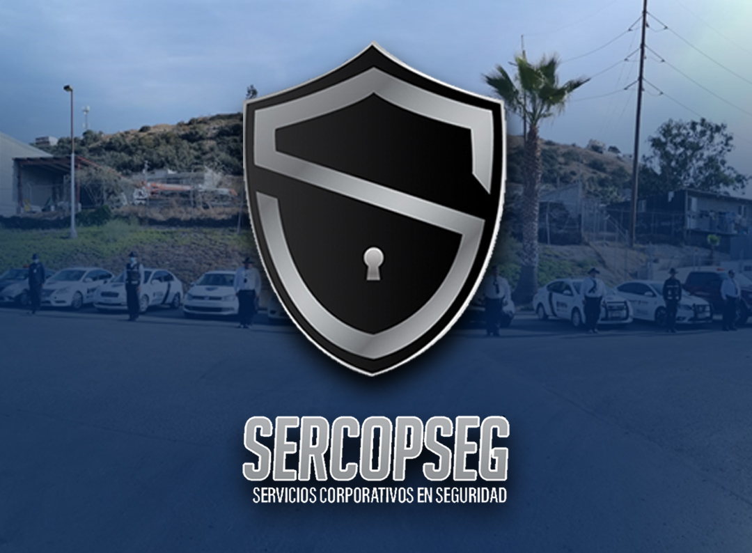 Ejemplo de Imagen Aqui