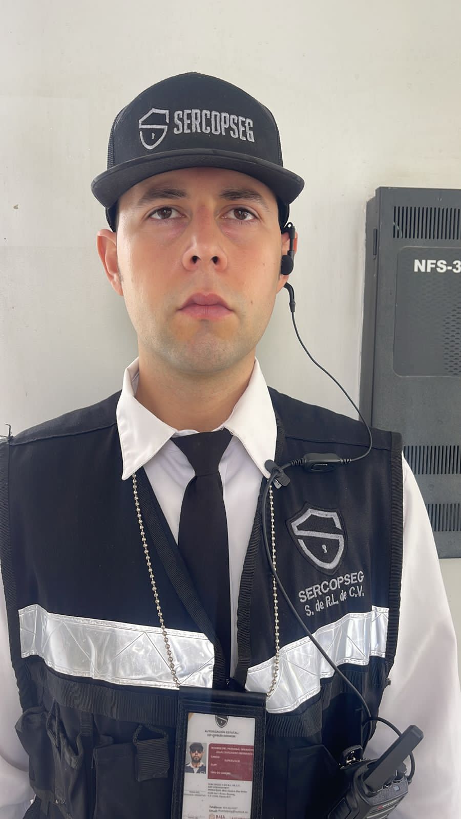 Ejemplo de Imagen informativa 3