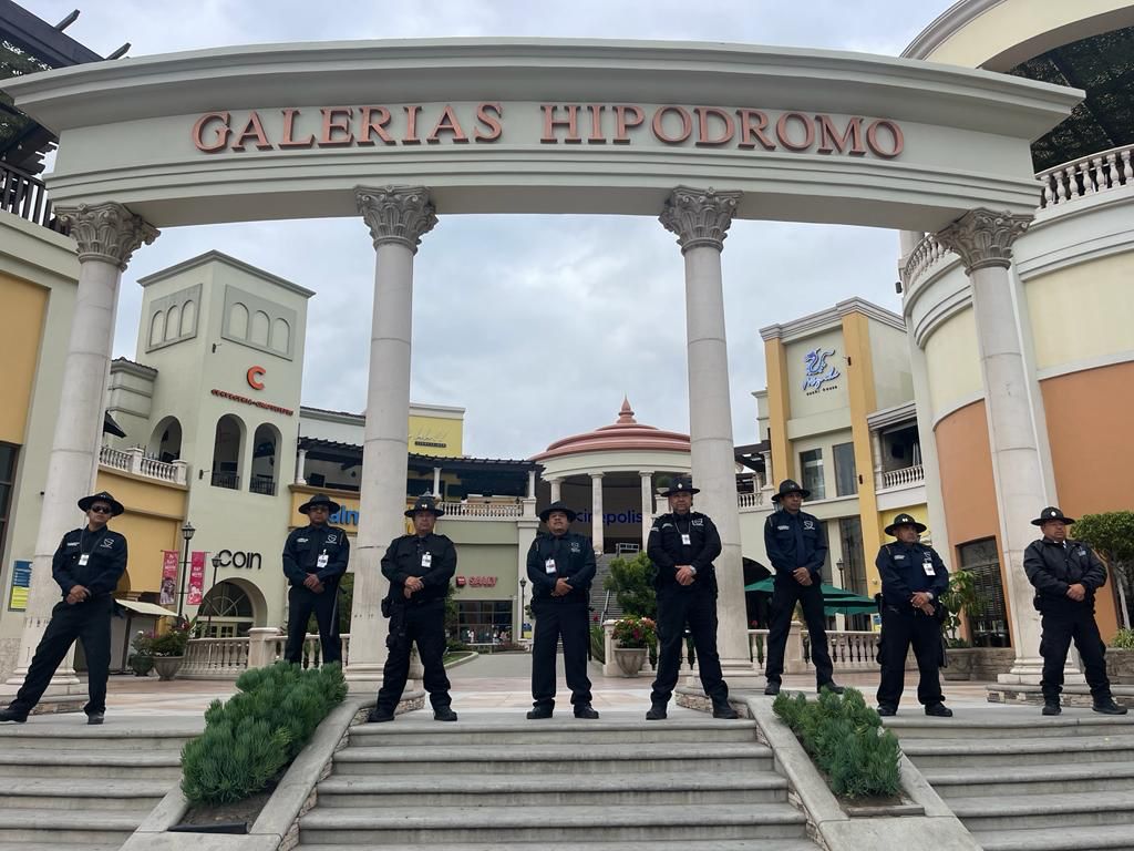 Ejemplo de Imagen informativa 3