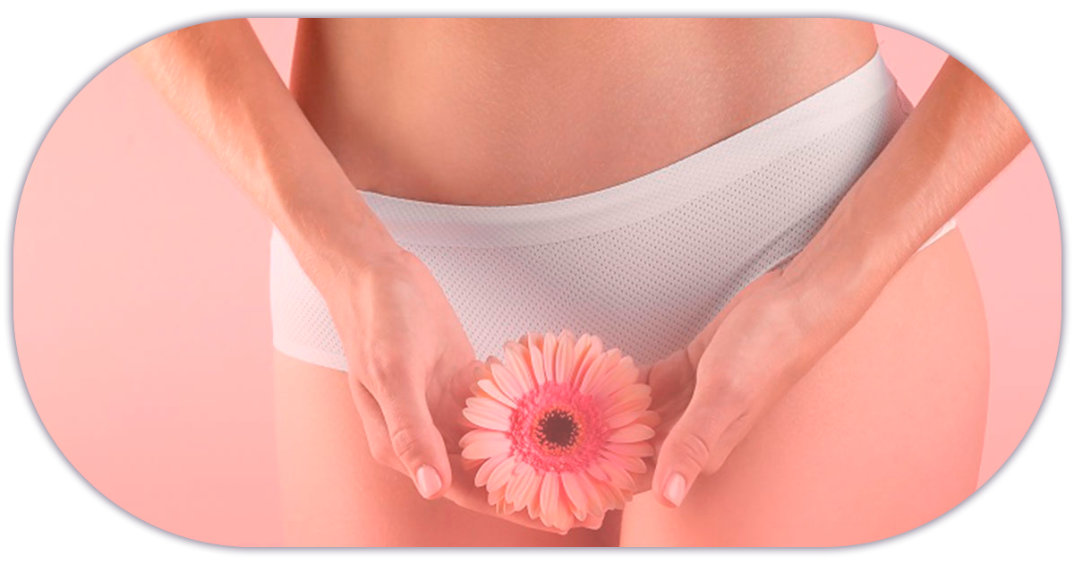 Ejemplo de Imagen Aqui