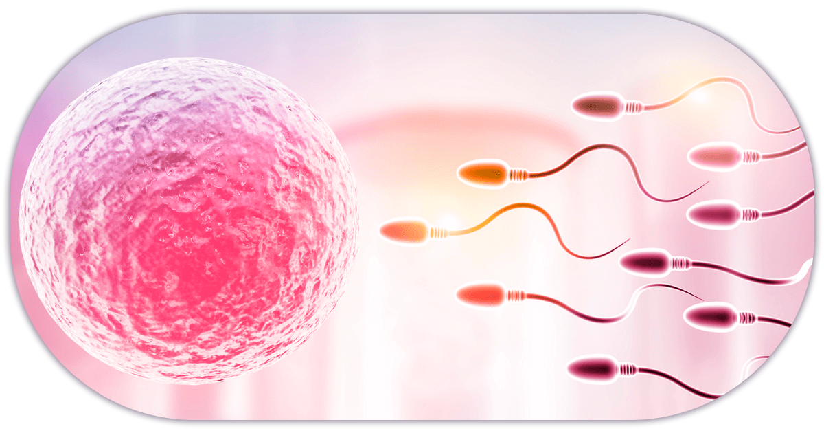 Ejemplo de Imagen Aqui