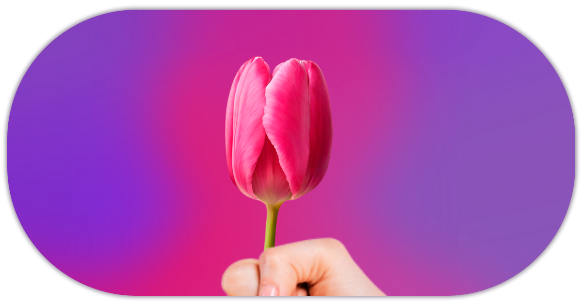 Ejemplo de Imagen Aqui