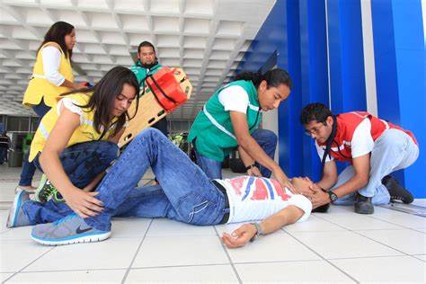 Ejemplo de Imagen Aqui