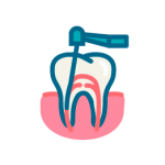 endodoncia